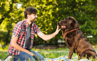 Dog training certification