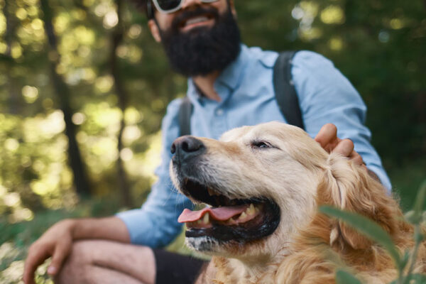 A male dog owner petting his pup while on a hike