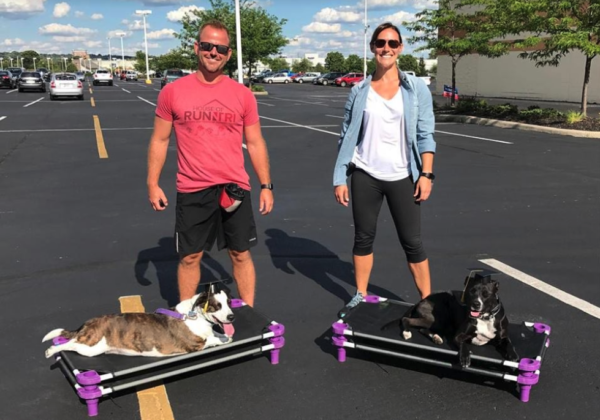 Knowledgeable dog trainers at a dog socialization class provide guidance and support to help dogs socialize effectively and confidently. Knowledgeable dog trainers at a dog socialization class provide guidance and support to help dogs socialize effectively and confidently.
