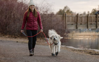 Young lady walking her dog using an English slip lead.