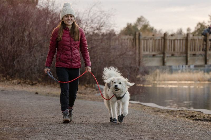 Young lady walking her dog using an English slip lead.