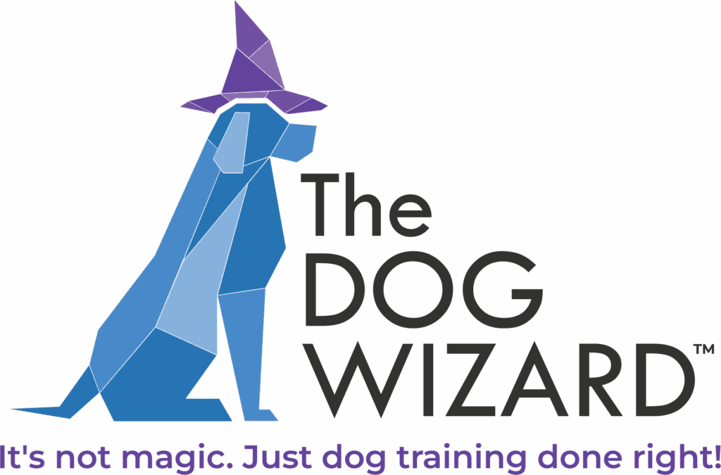 The Dog Wizard Academy