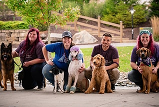 dogwizard-headshots-20