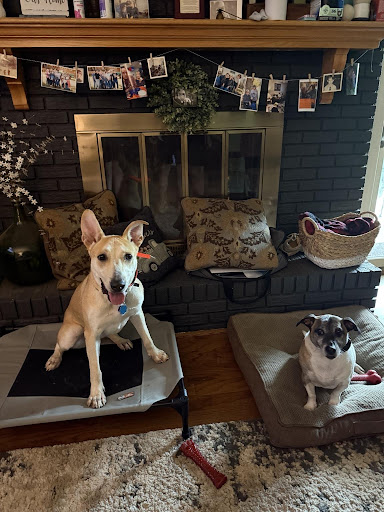 Photo from customer review