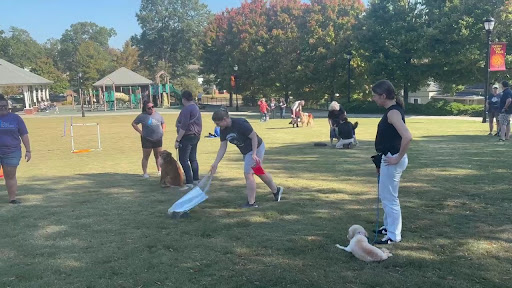 Photo from customer review