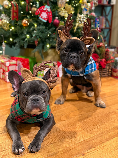 Photo from customer review