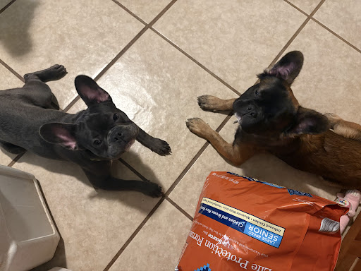 Photo from customer review