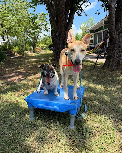 Photo from customer review