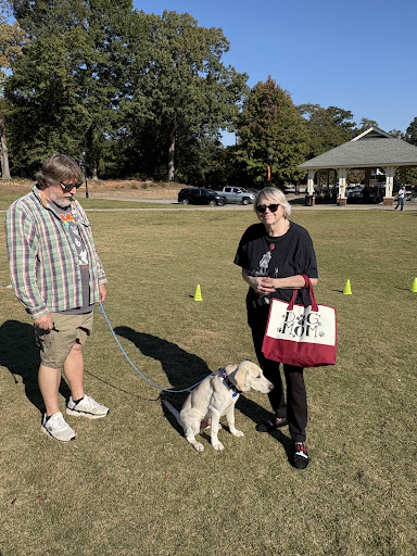 Photo from customer review