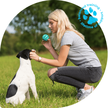 specialty-dog-training-min