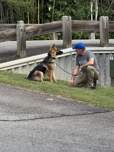 Photo from customer review