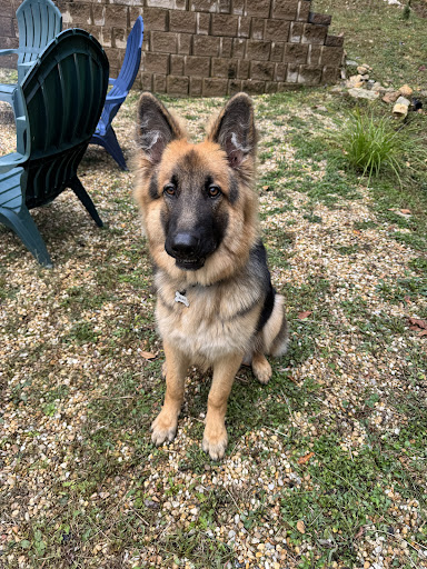 Photo from customer review