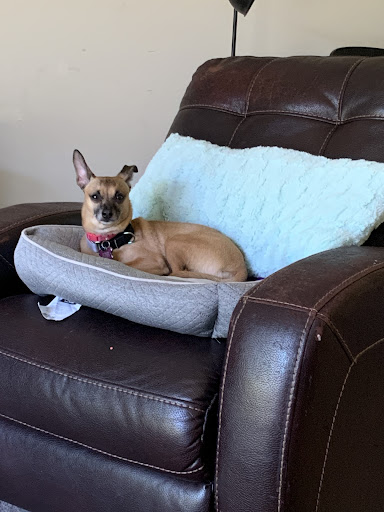 Photo from customer review