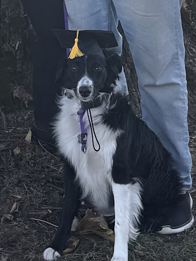 Photo from customer review