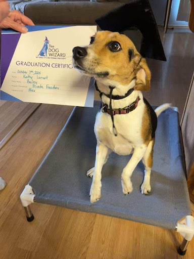 Photo from customer review