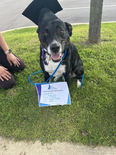 Photo from customer review