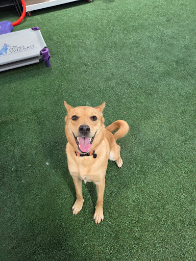 Photo from customer review