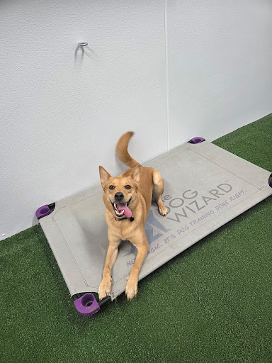 Photo from customer review