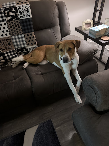 Photo from customer review