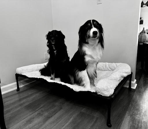 Photo from customer review