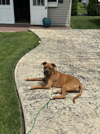 Photo from customer review